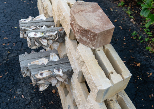 DSC_5501_Oysters